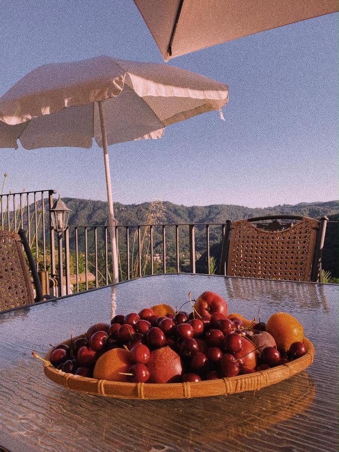 La Pianella Farmhouse Lucca Exterior foto